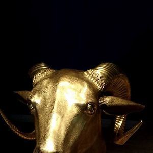 Meet your Posher, Annie